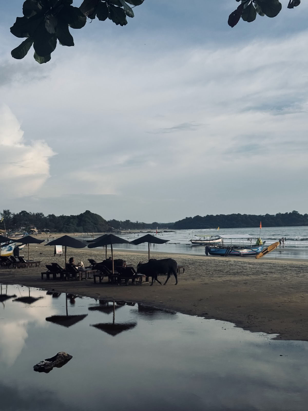 Brødrenes Ayurveda- og yoga-retreat