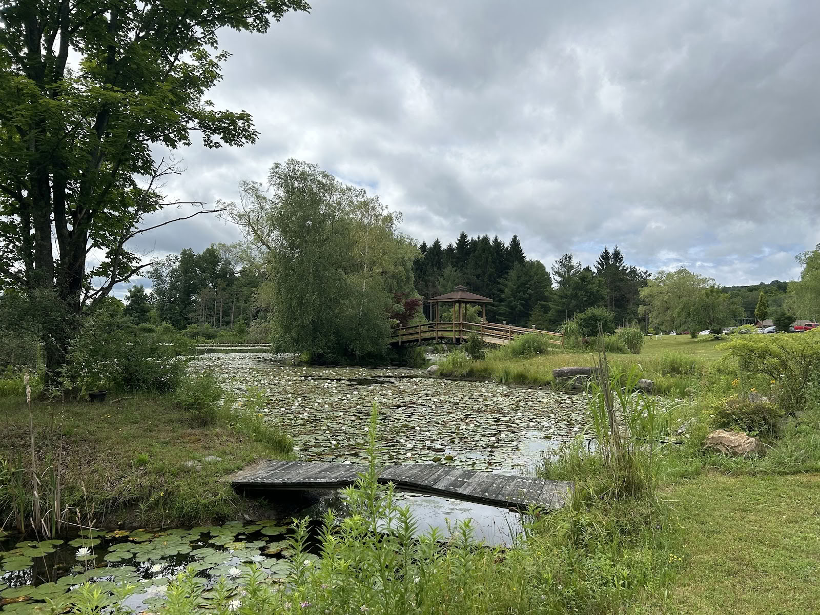 Krop sind-restaureringsretreats