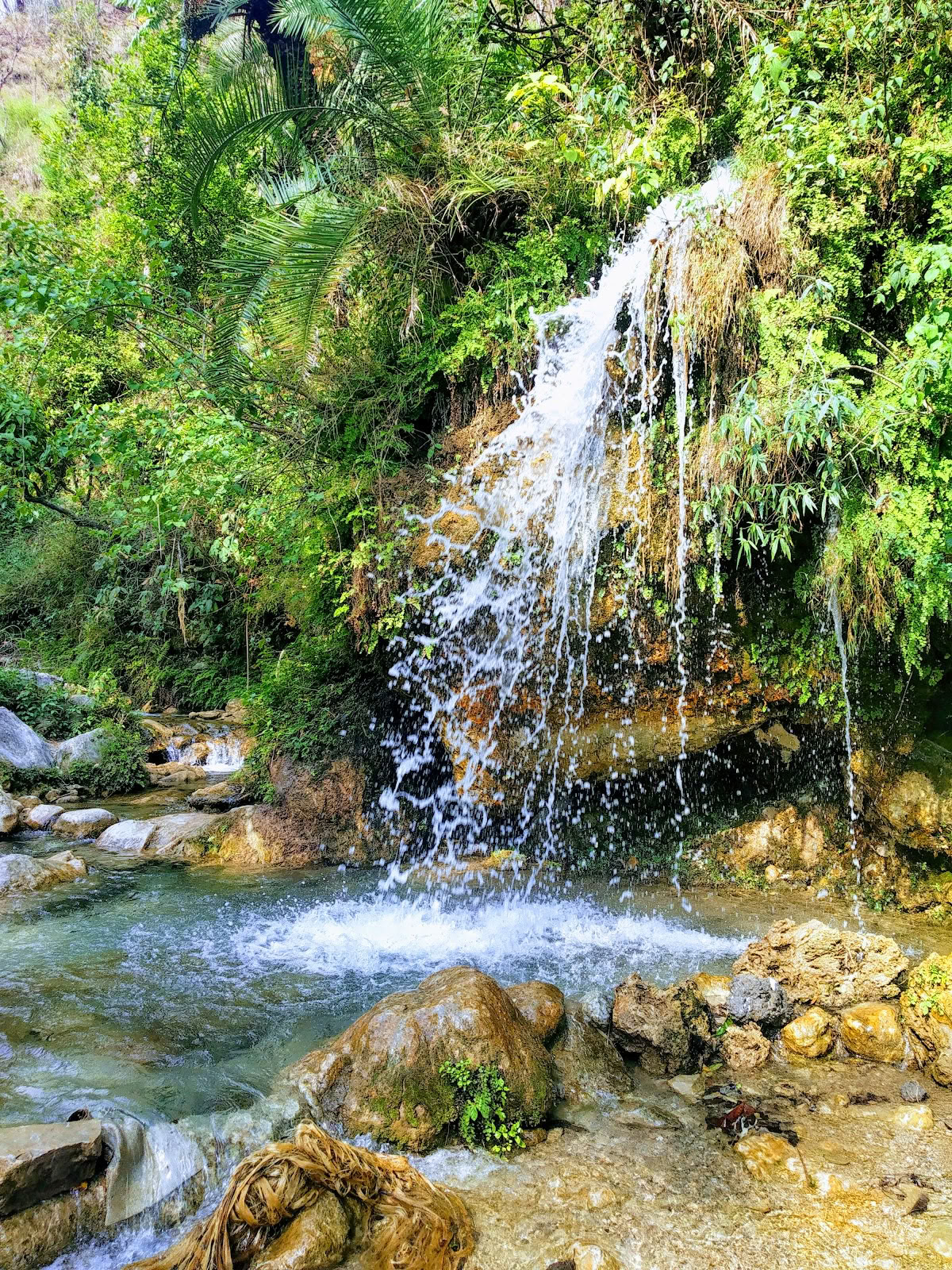 Rishikesh-dalresort