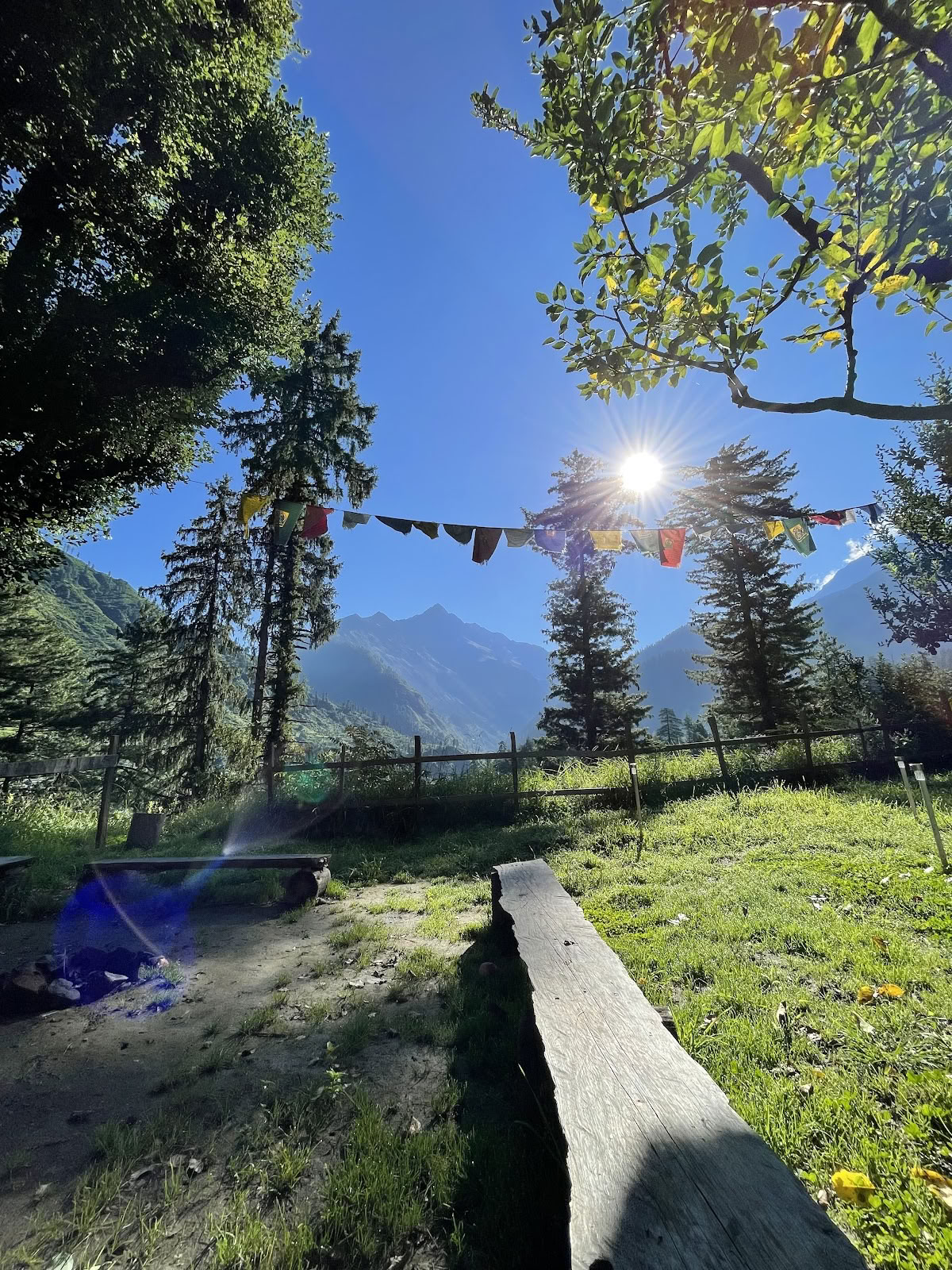 Ameya Himalayas yogis