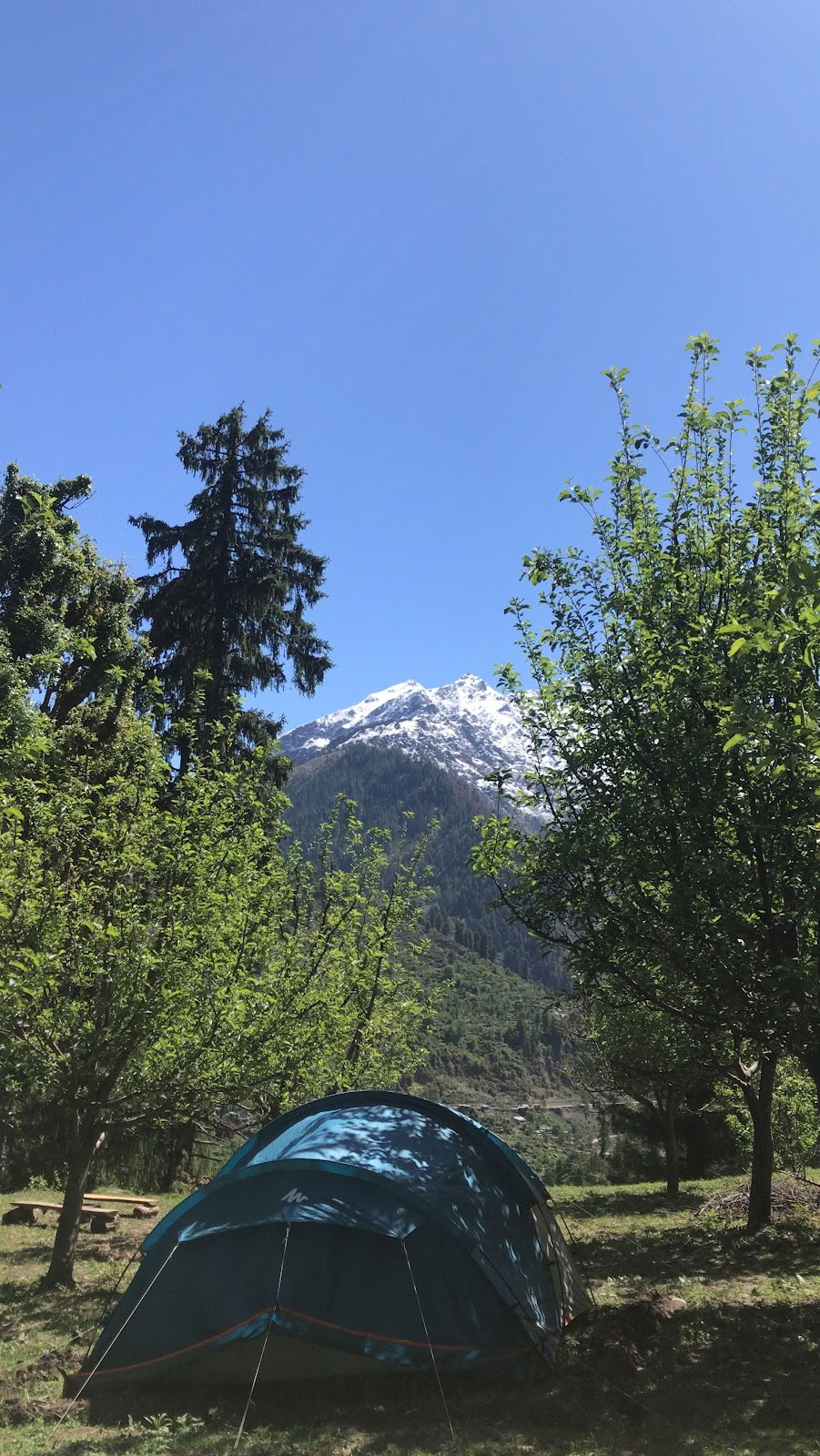 Ameya Himalayas yogis
