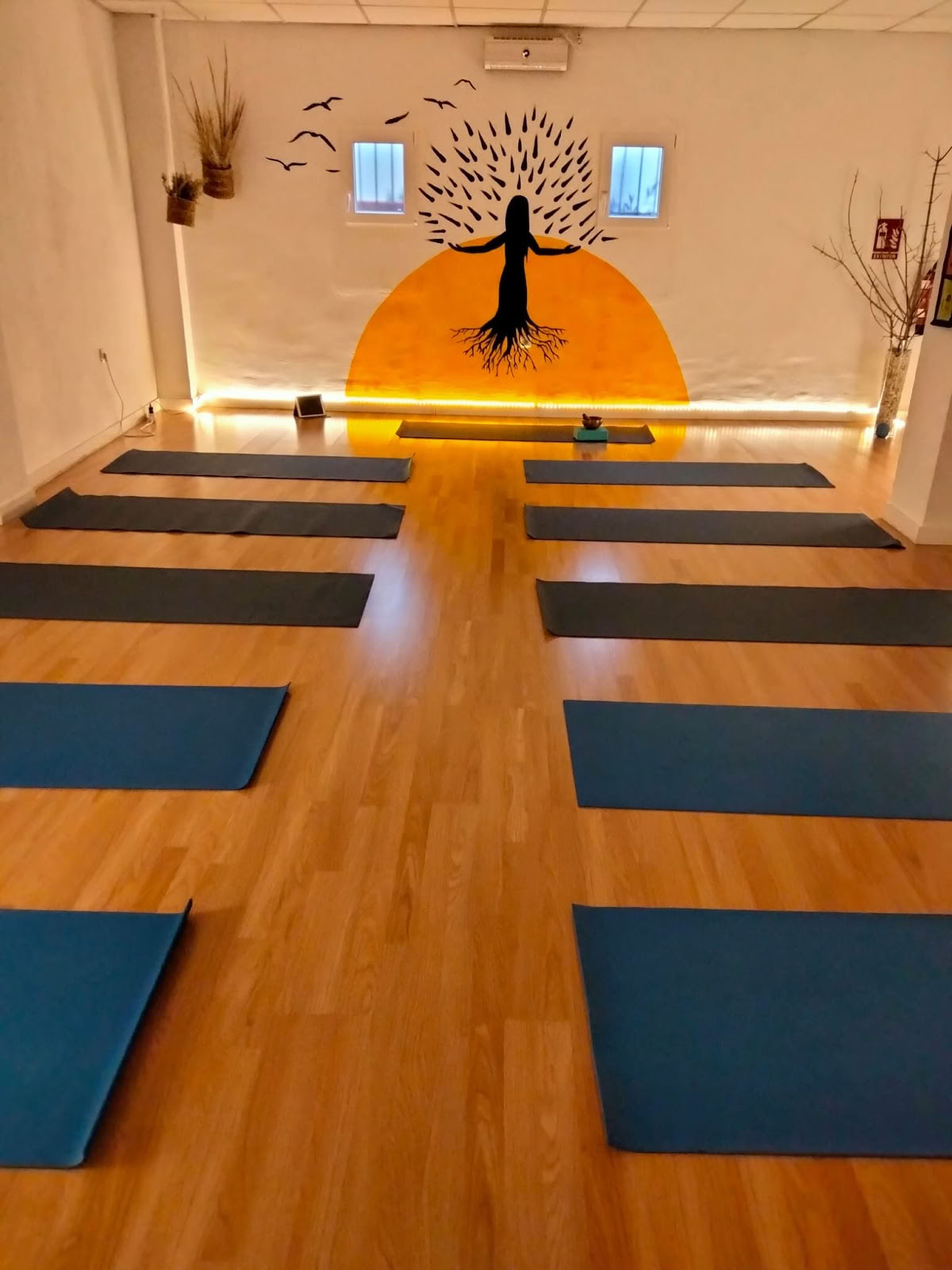 Alma y Tierra | Urtehandlerbutik | Center for naturlige terapier og yoga