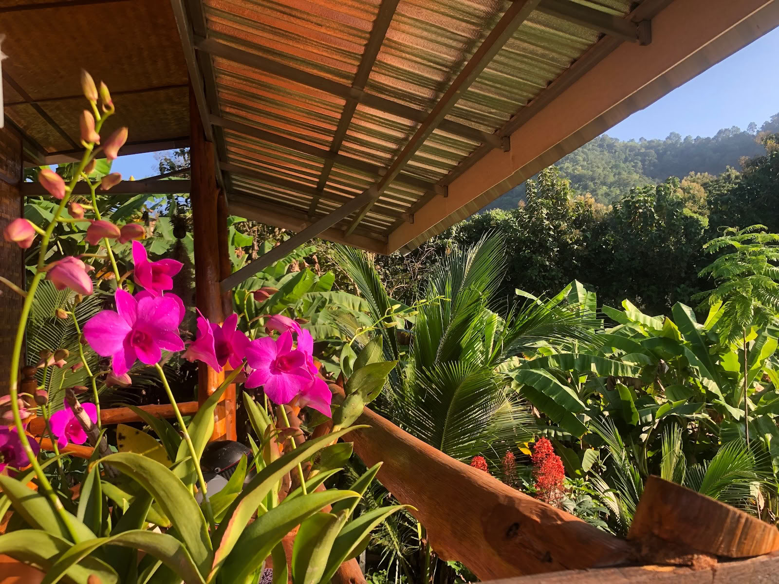 Ægte natur Chiang Mai - Yoga- og meditations-hjemmestedsretreat