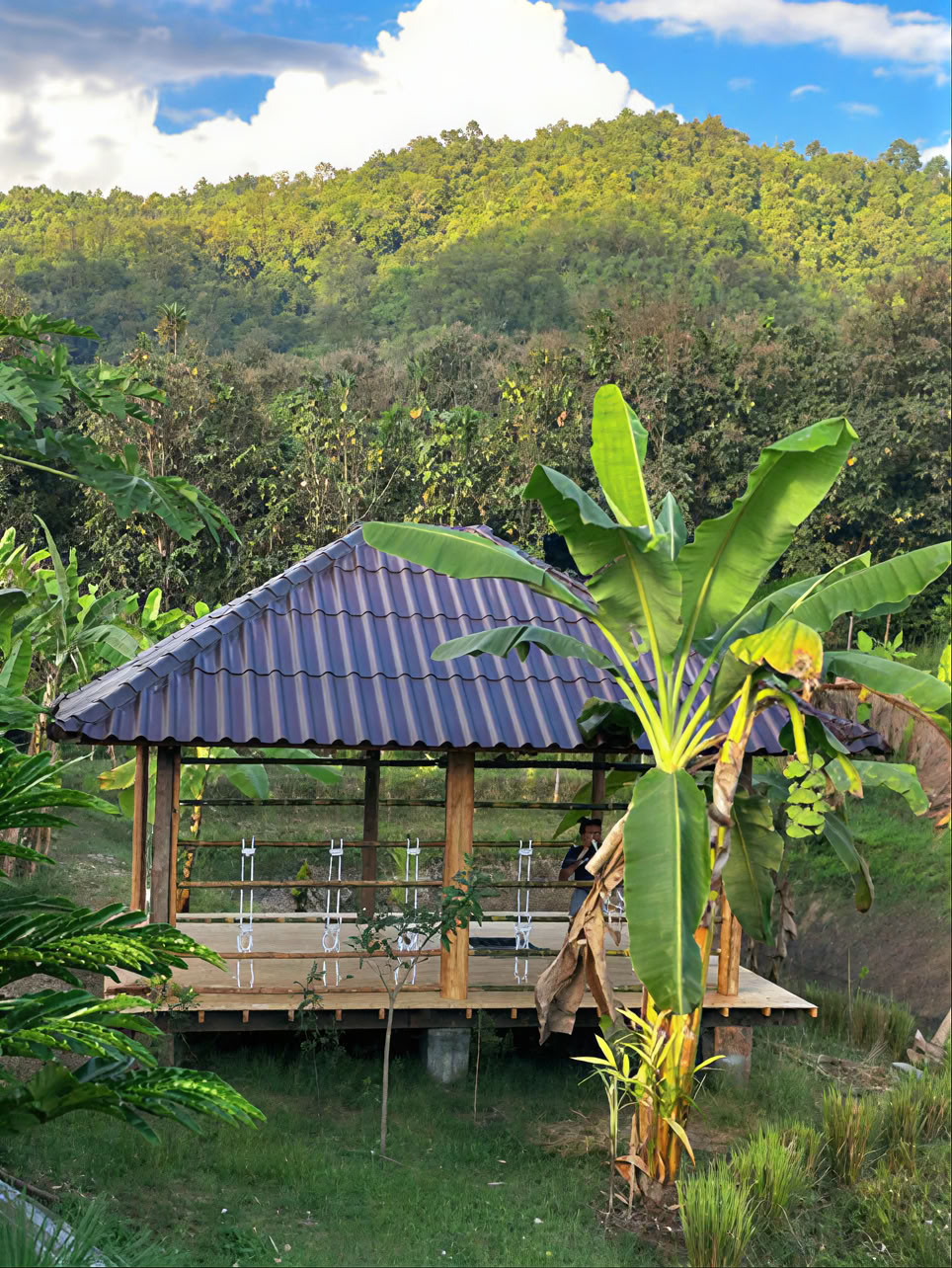 Ægte natur Chiang Mai - Yoga- og meditations-hjemmestedsretreat