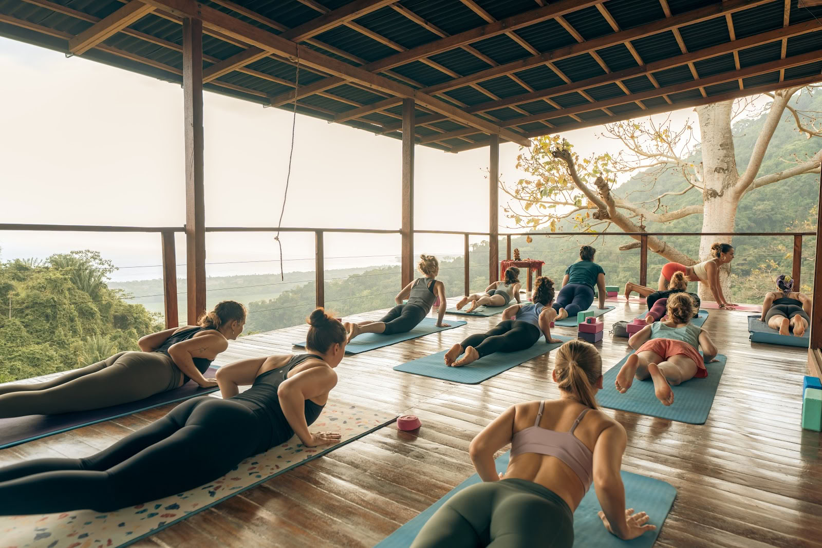 Ahimsa Yogaskole
