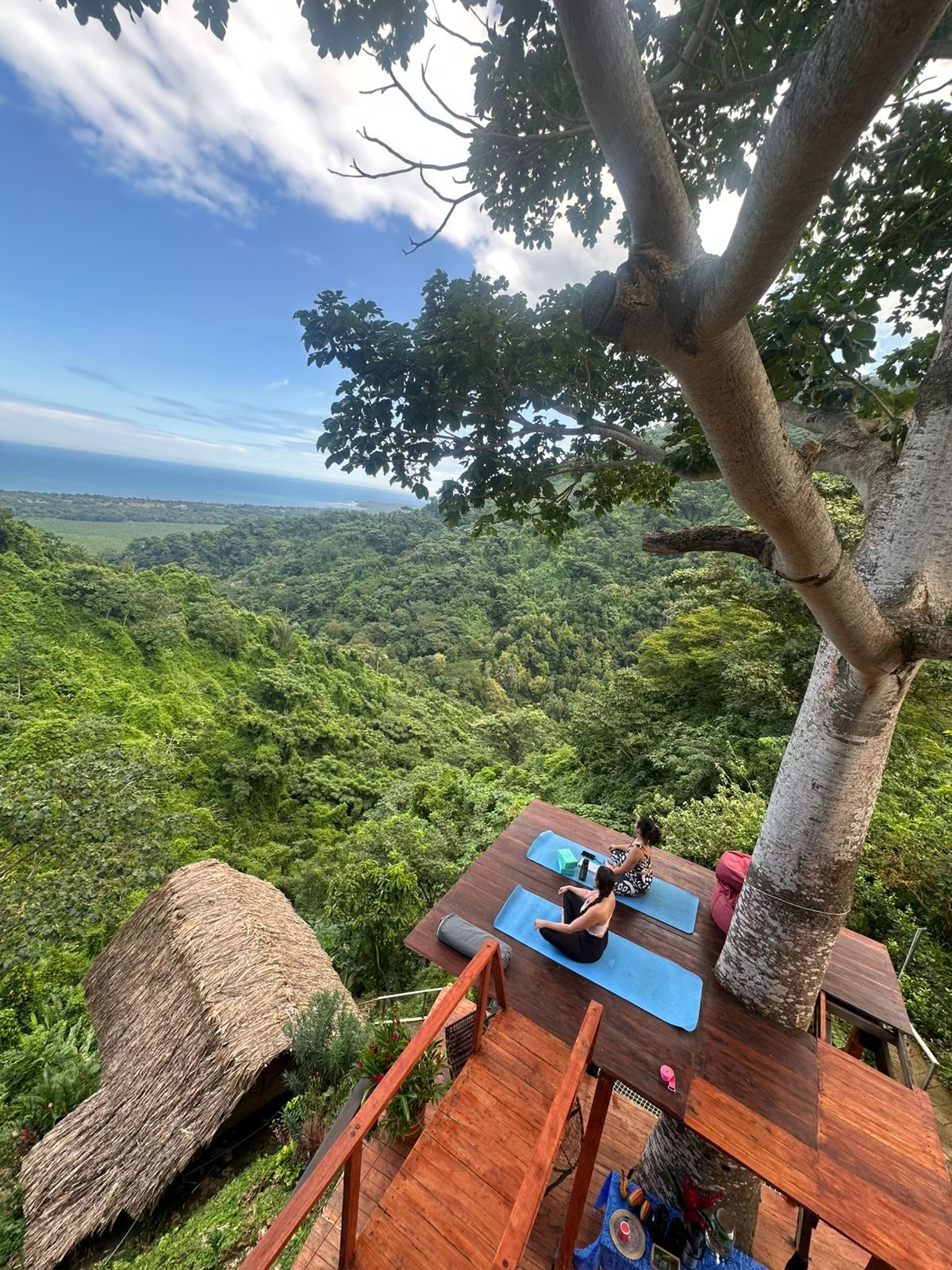 Ahimsa Yogaskole