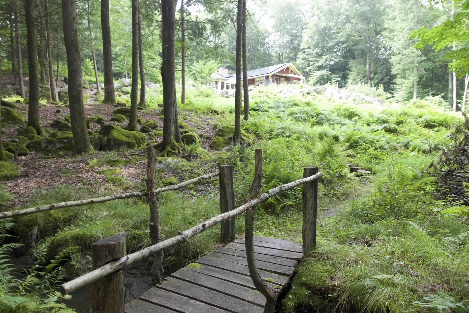 Perlemor Healing Center