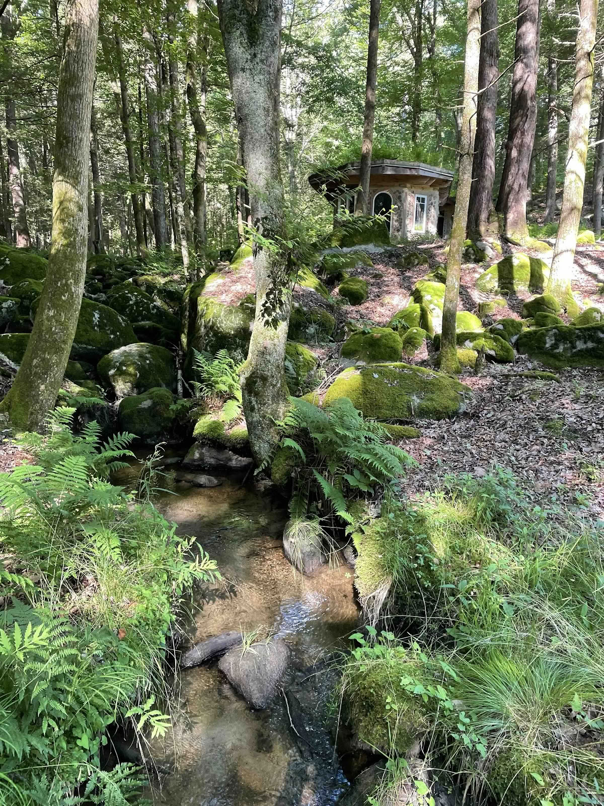 Perlemor Healing Center