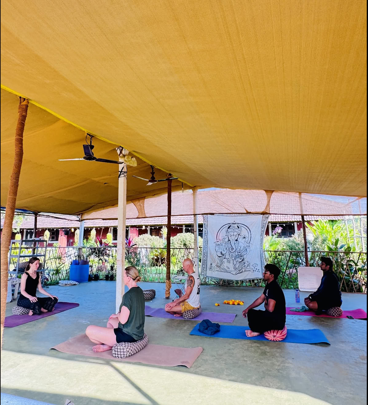 Shanti MIZU | Bedste yogaretreat i Arambol, Goa