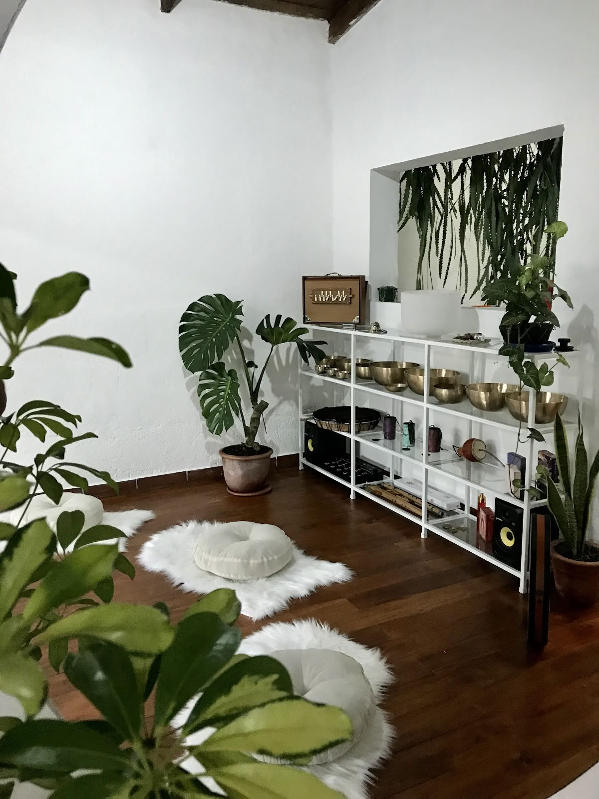 Holistisk blomstring - Sundheds- og wellnesscenter