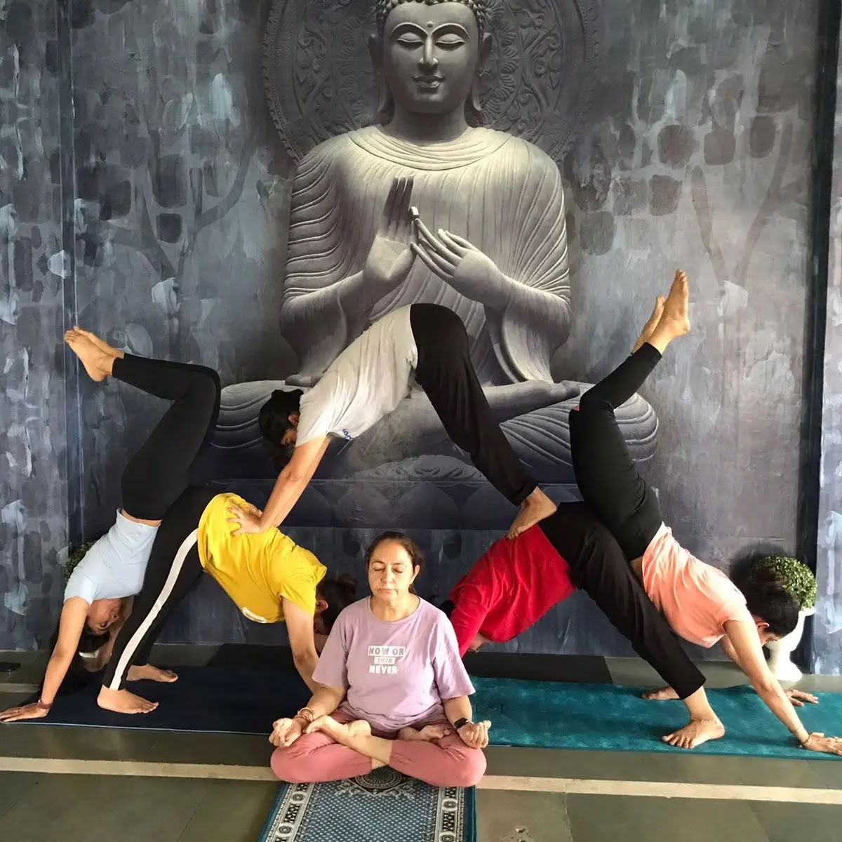 Solskin yoga / Bedste yogaklasser i Amritsar / Yogaklasser i Amritsar / Yoga i Amritsar