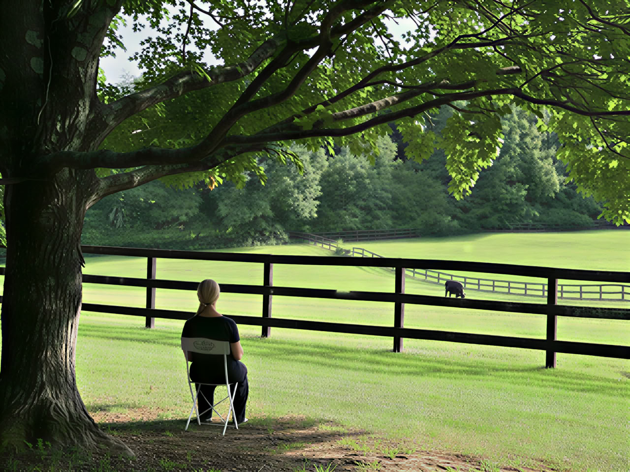 Imagine Equus Farm