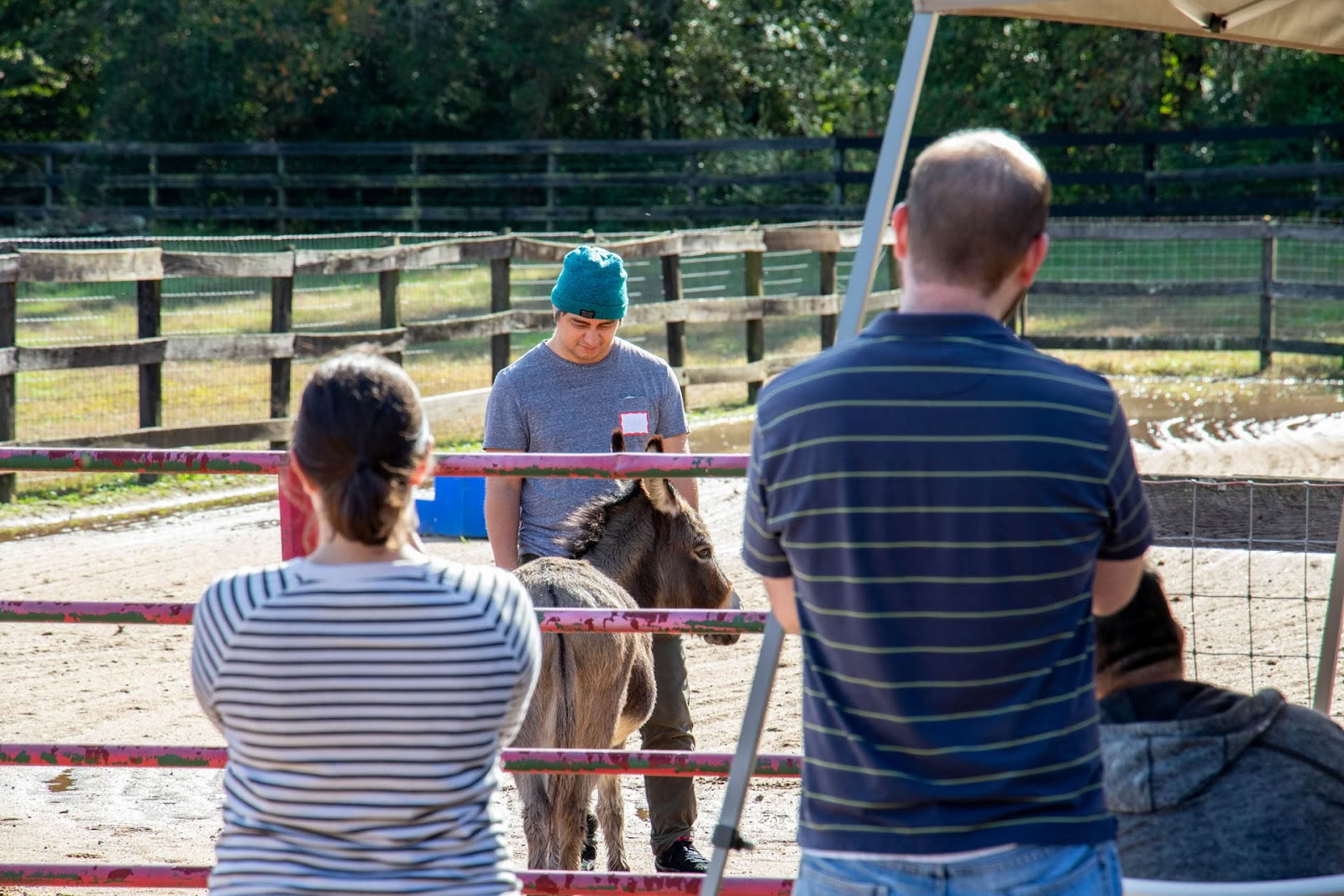 Imagine Equus Farm