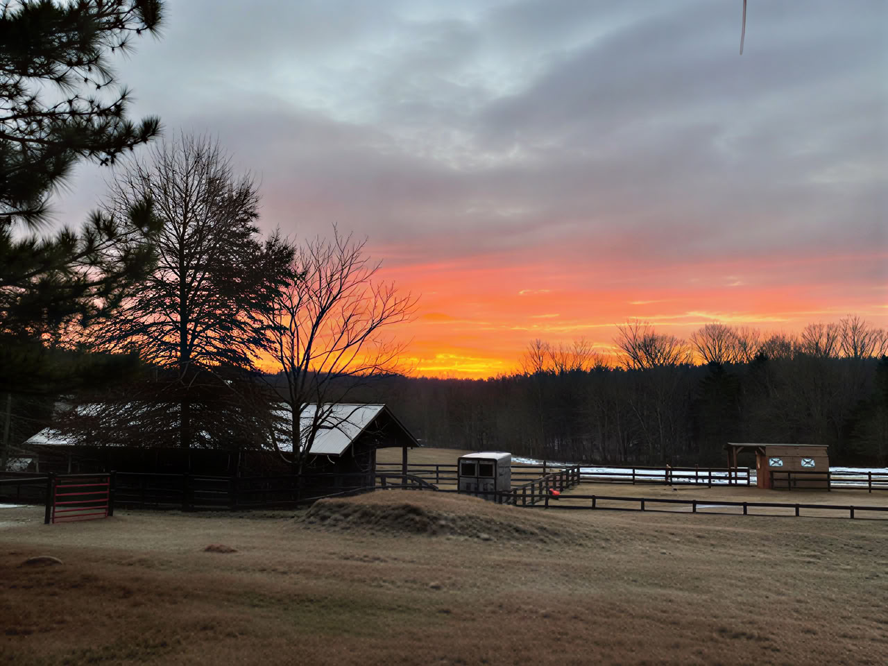 Imagine Equus Farm