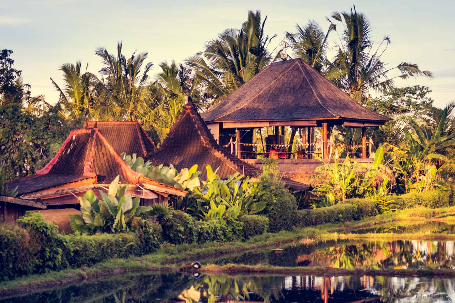 Dragonfly Village