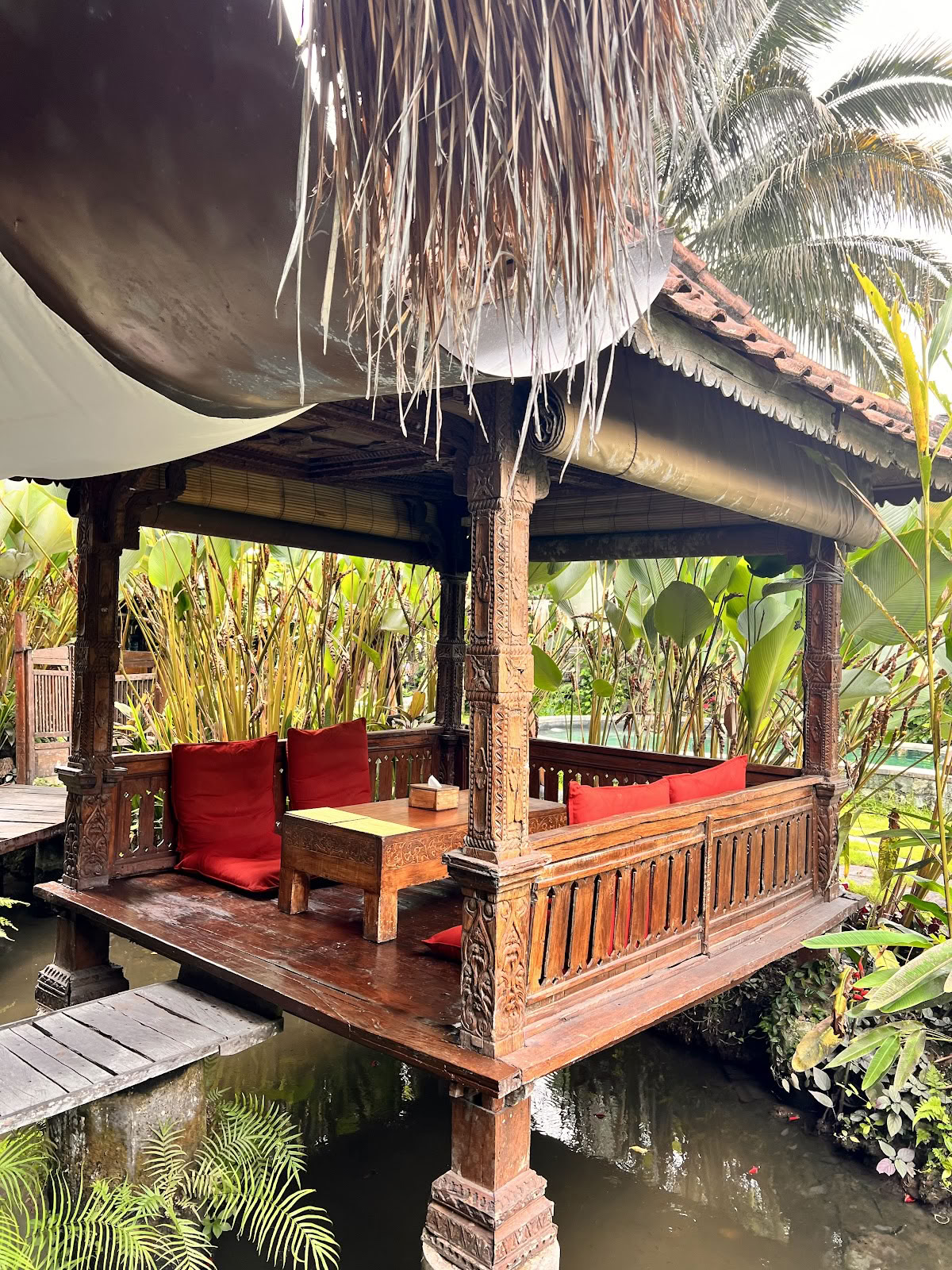 Dragonfly Village