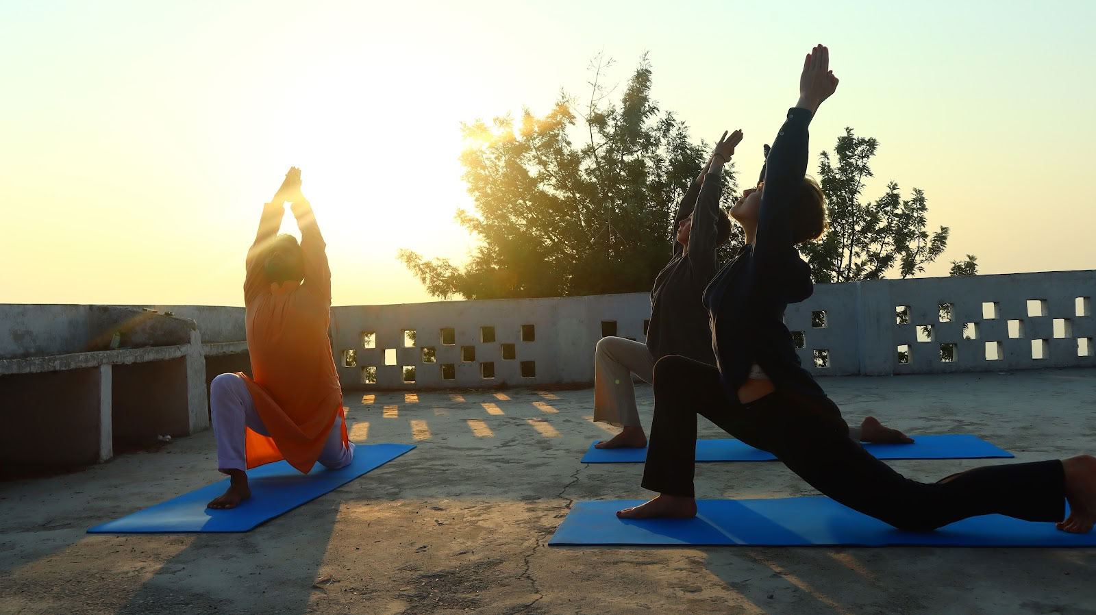 Yoga-essens: uddannelse til meditationslærer i ashram