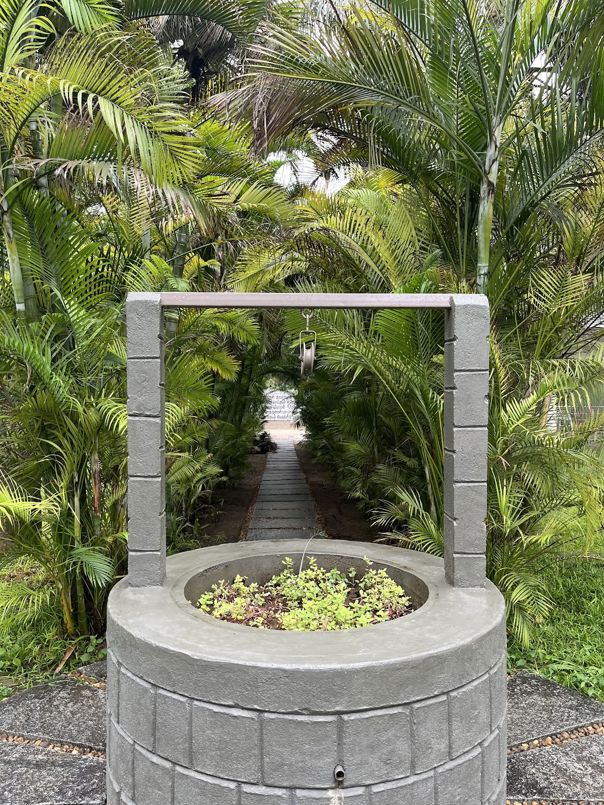 Shri Sivalaya Holistisk Naturligt Helbredelseshospital