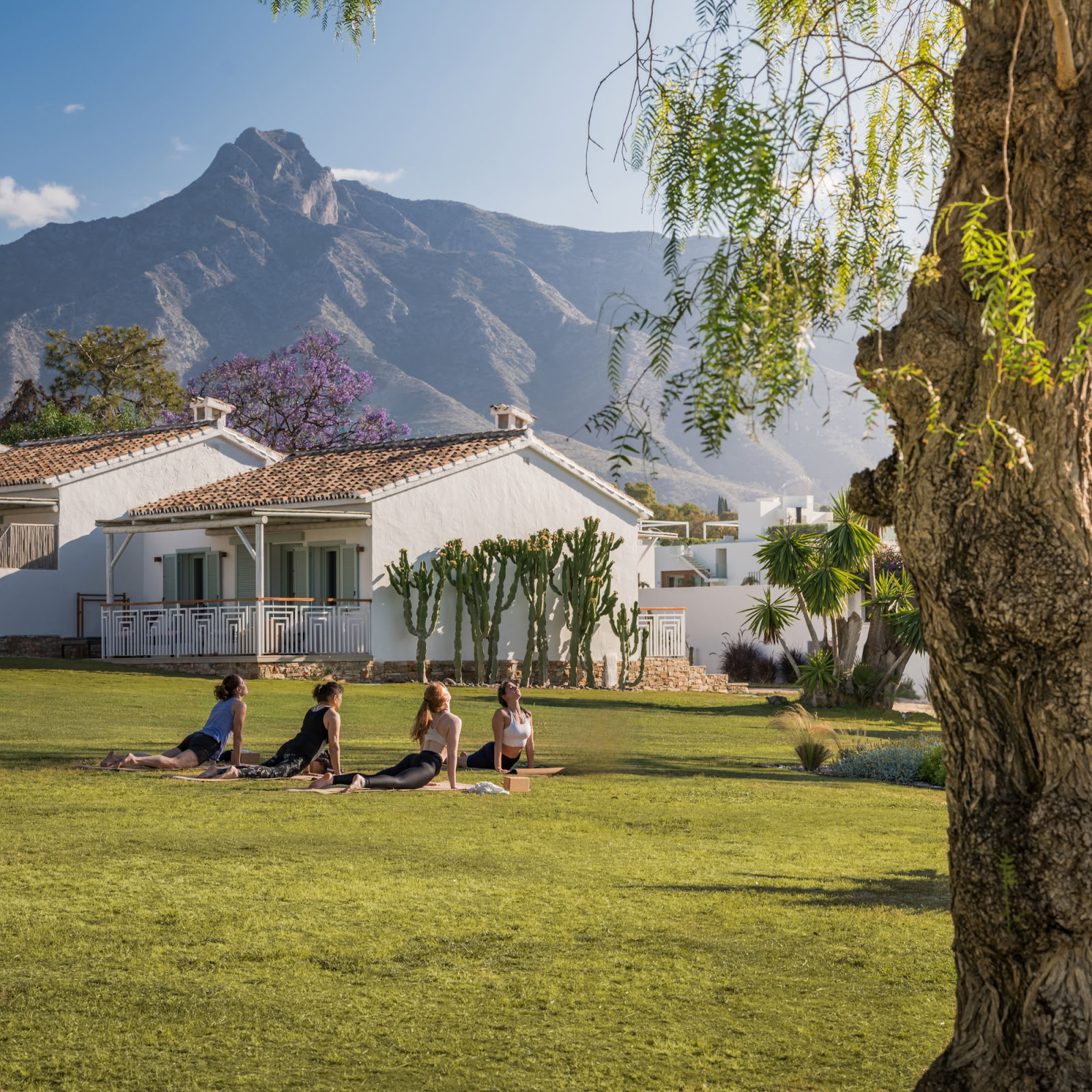 Boho Wellness · Sundhed og Retreats