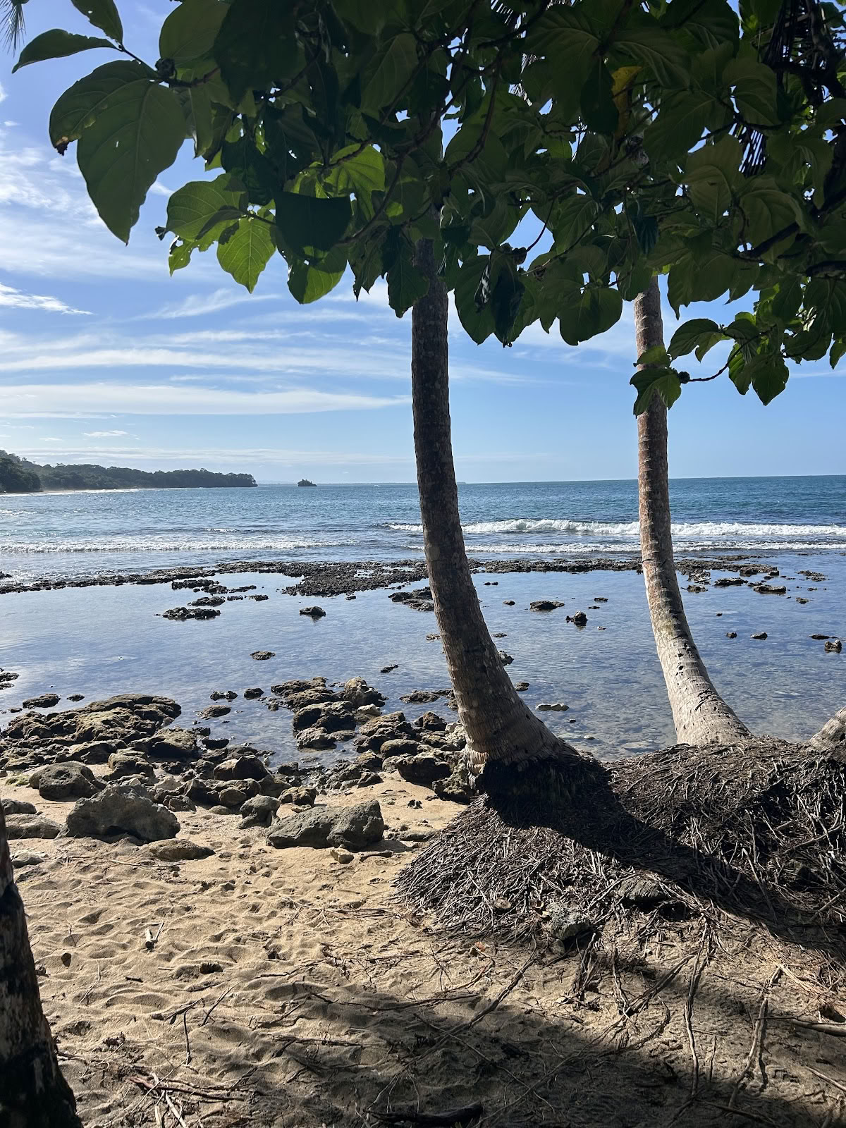 Paradis Wellnesscenter & Lejligheder ved stranden