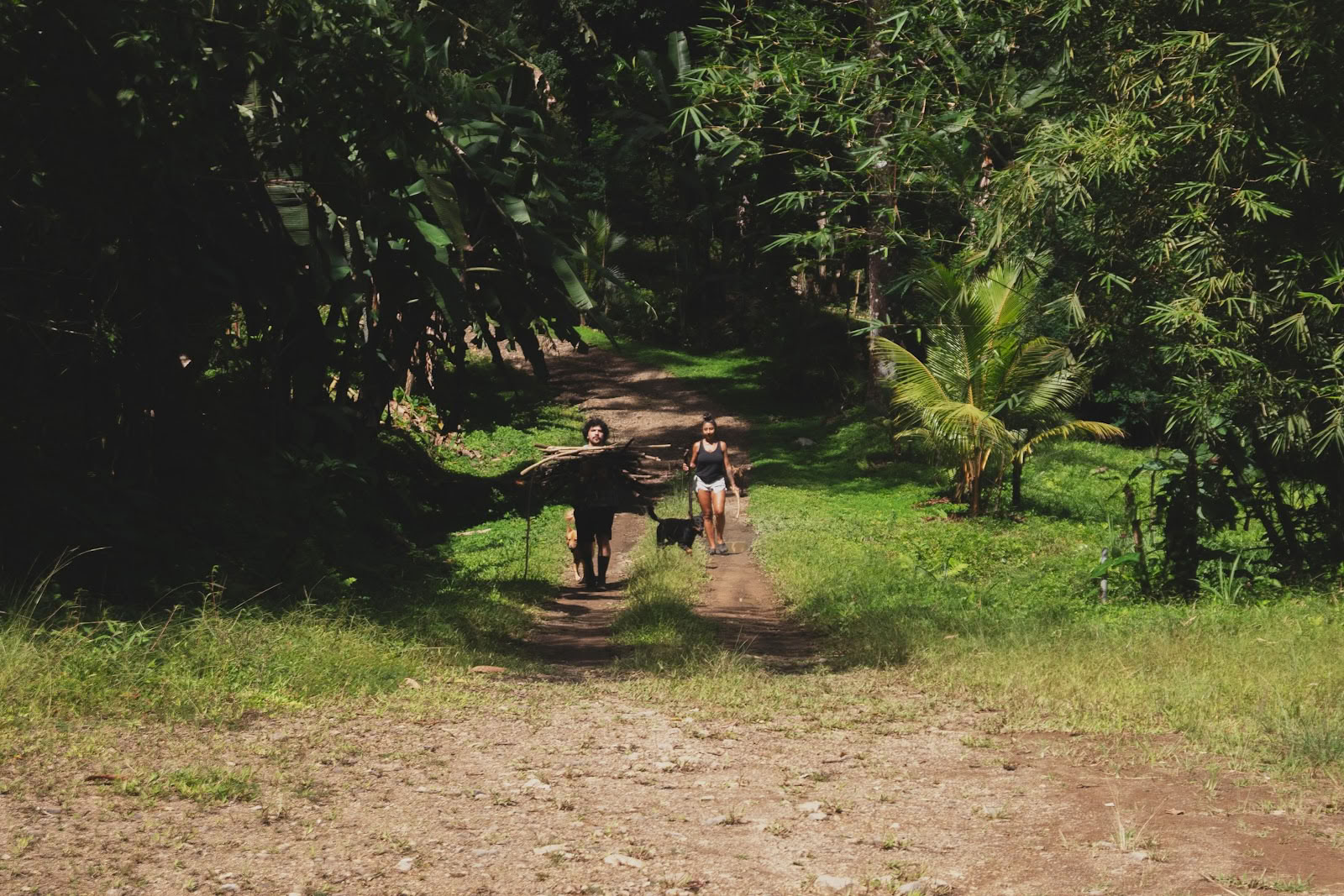 Finca Shambhala Økologisk