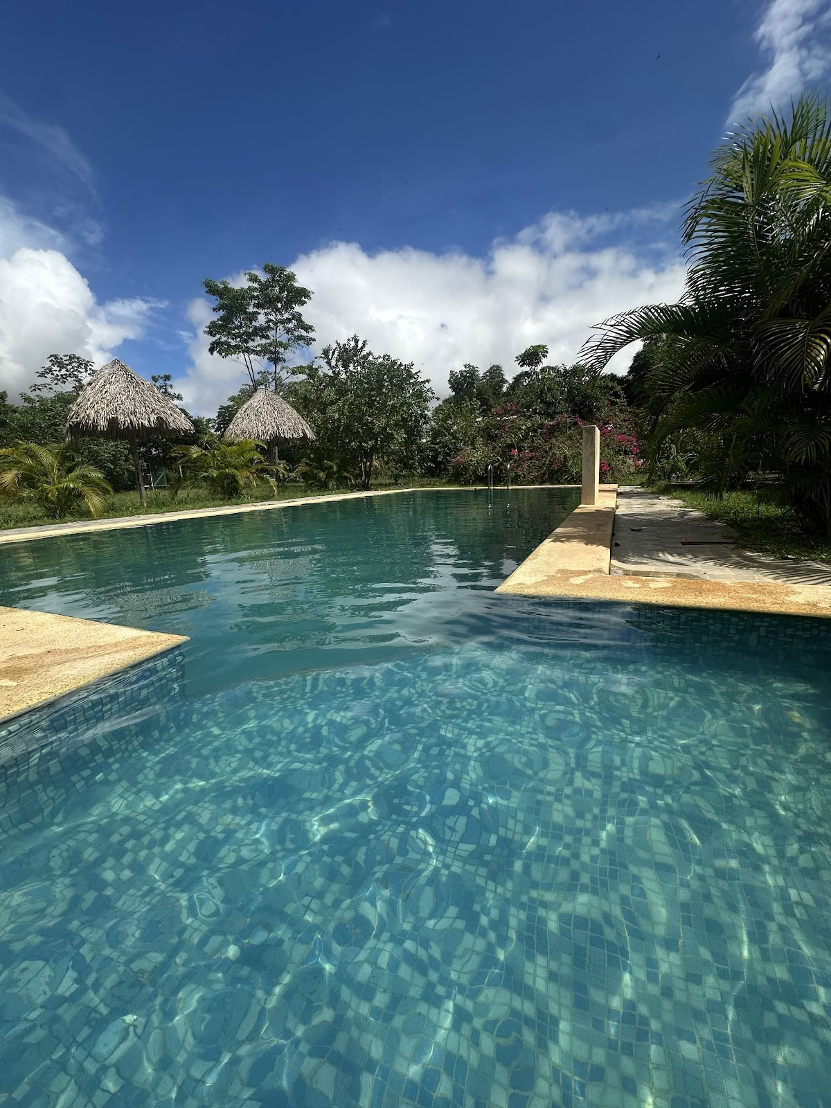 Ayahuasca-åndecenter