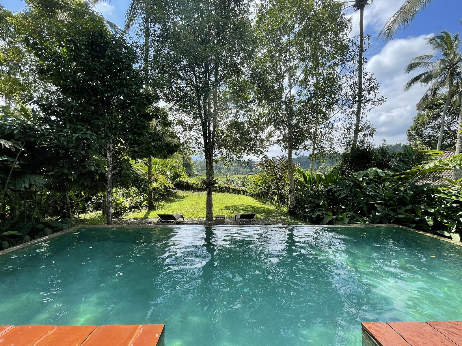 Clovetræsbakken - Bali Eco Resort