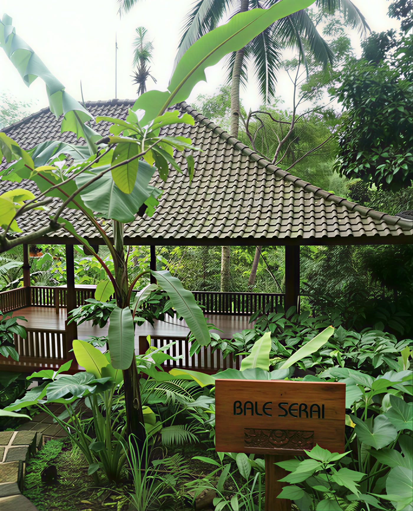 Clovetræsbakken - Bali Eco Resort