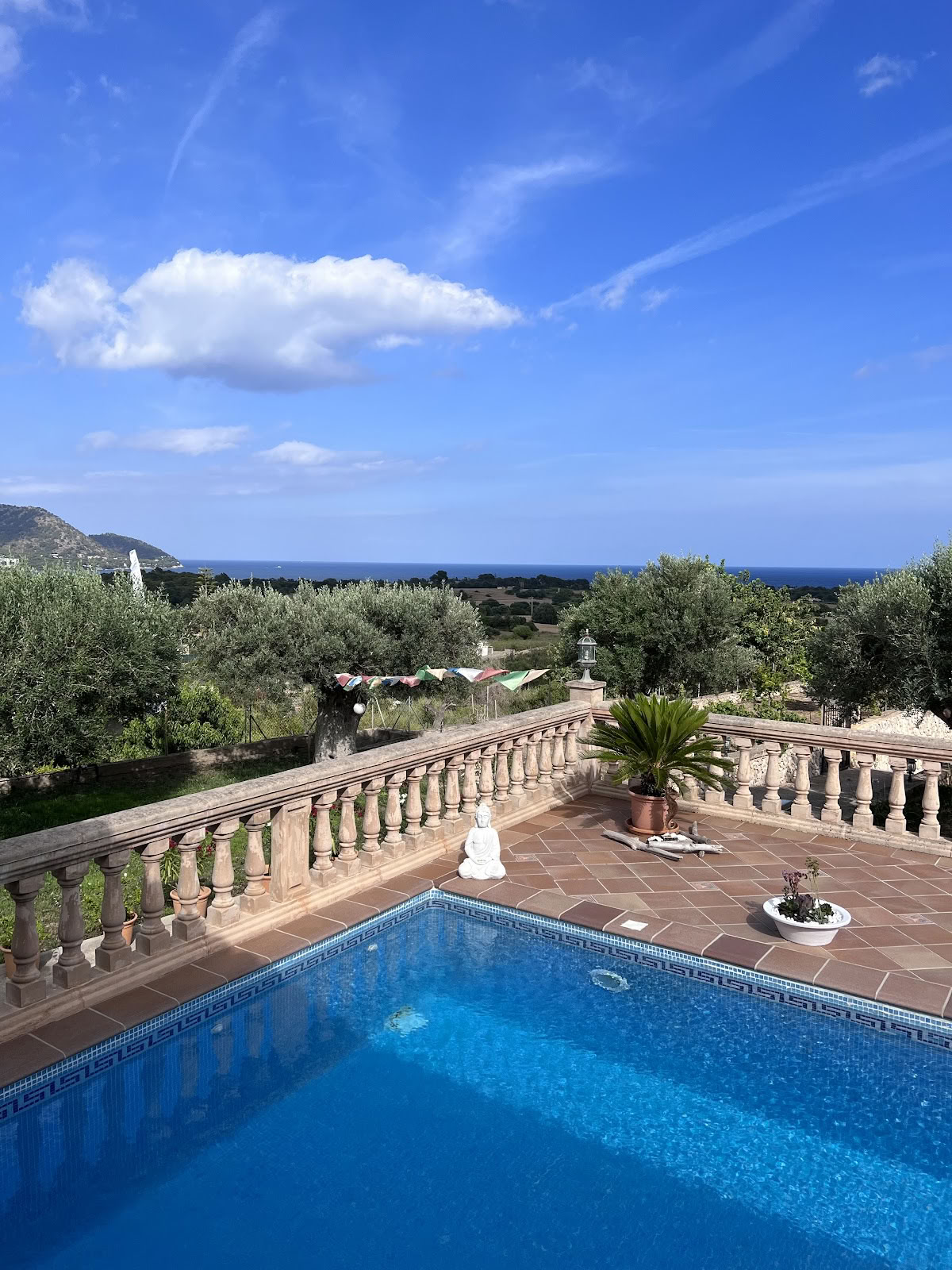 Ashram Mallorca | Åndedrætsrejser | EMDR & Hypnose | Coaching | Hjerteåbning & Visionsarbejde