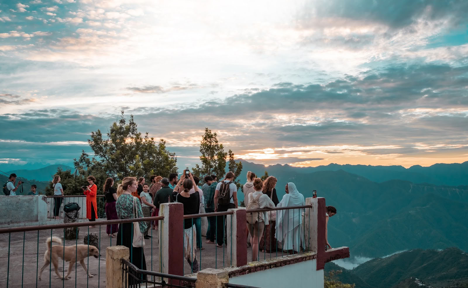 Samadhi Yoga Ashram - Den bedste yogaskole i Rishikesh, Indien