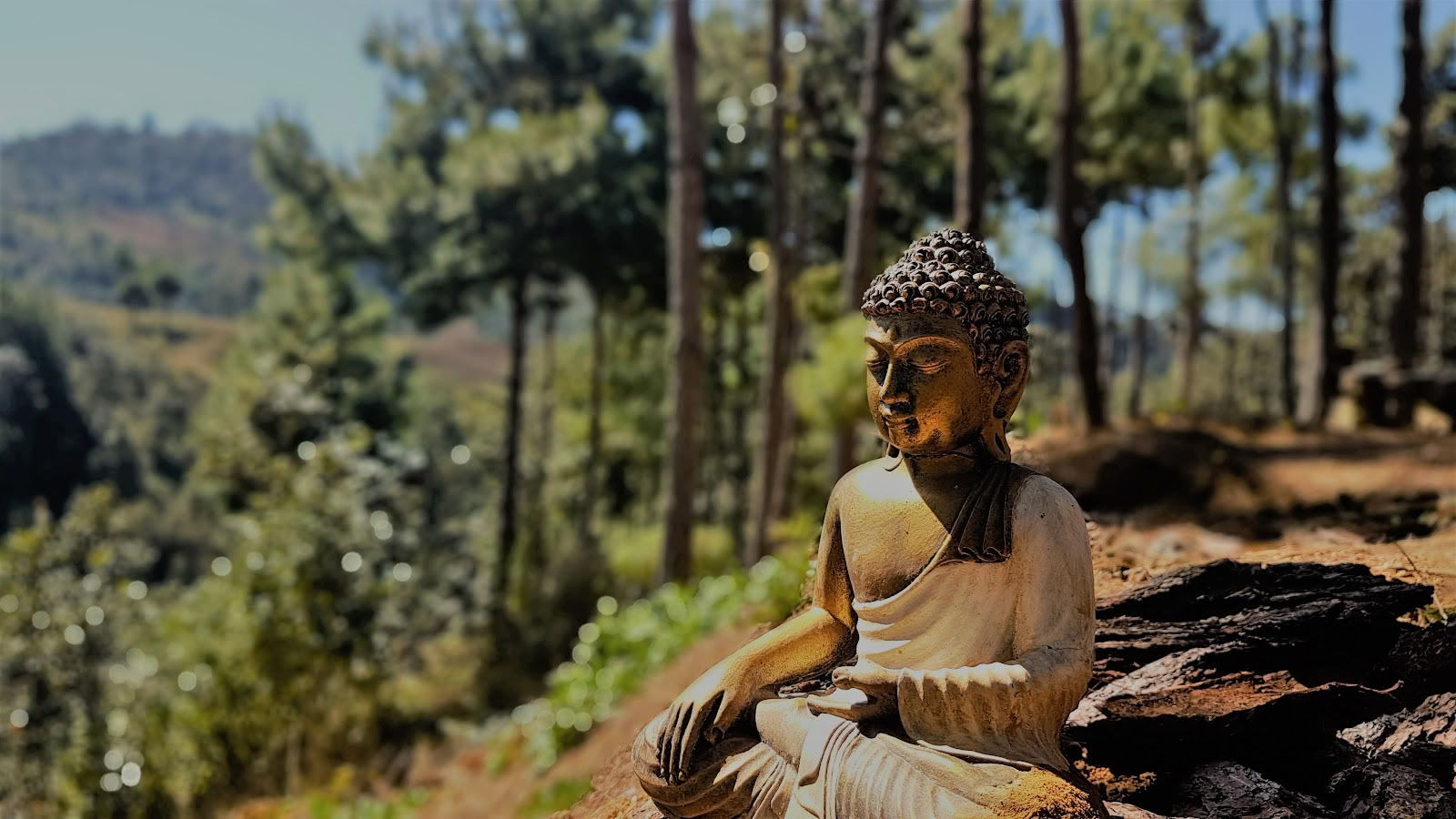 Hridaya Familie Meditations- og Yoga-retreatcenter