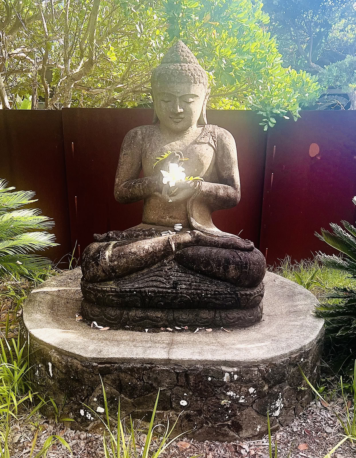 Retreats i Byron Bay