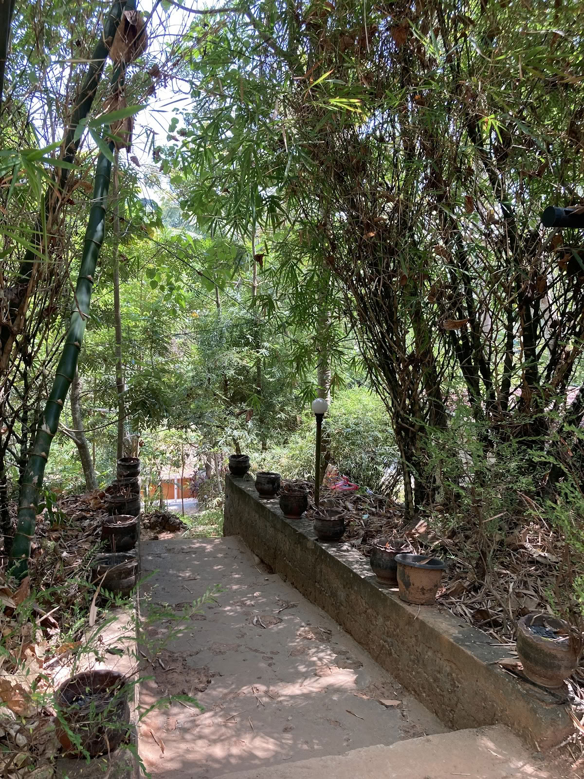 Agnihotra-yogaretreat