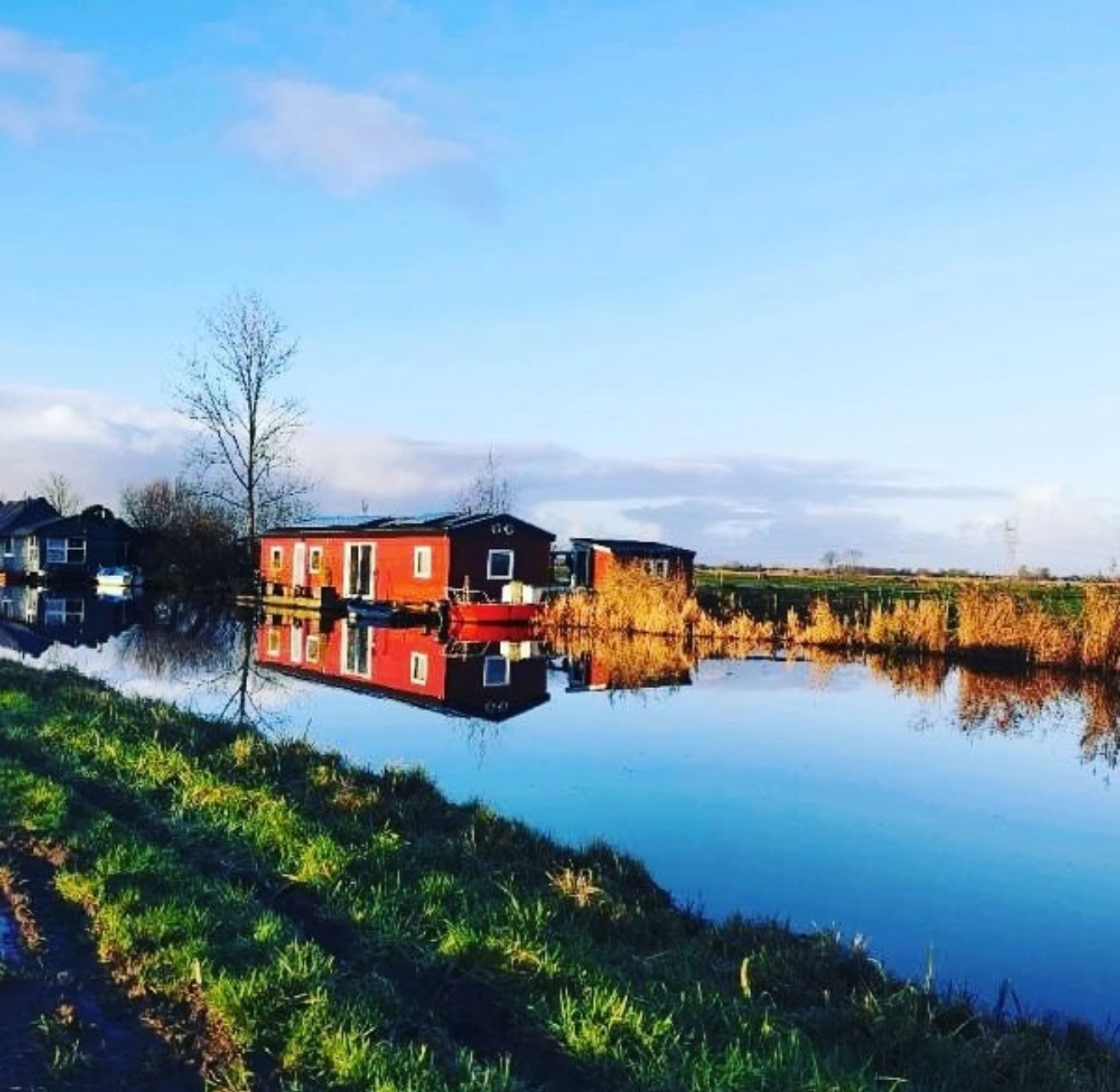 Den gamle moder