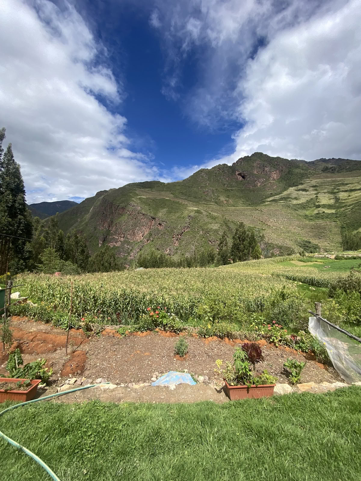 Ayahuasca Spirituelt Center Cusco