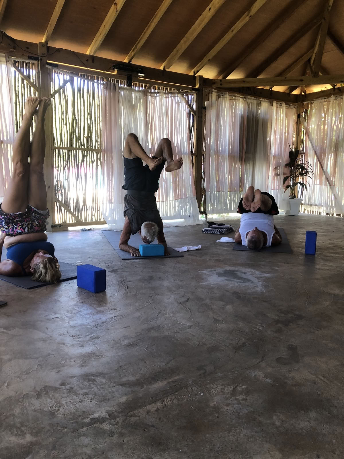 Visdom og velvære -yogacenter / dagspa og iTal Mama vegansk café