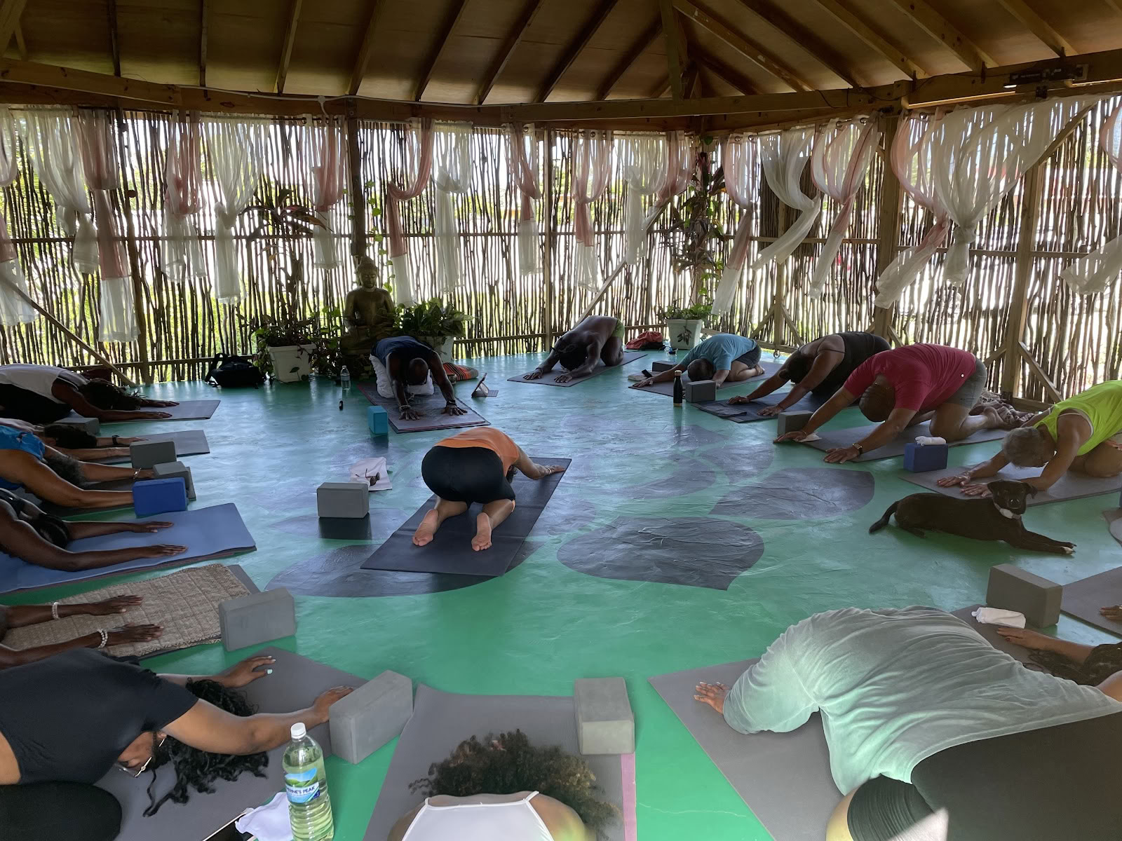 Visdom og velvære -yogacenter / dagspa og iTal Mama vegansk café