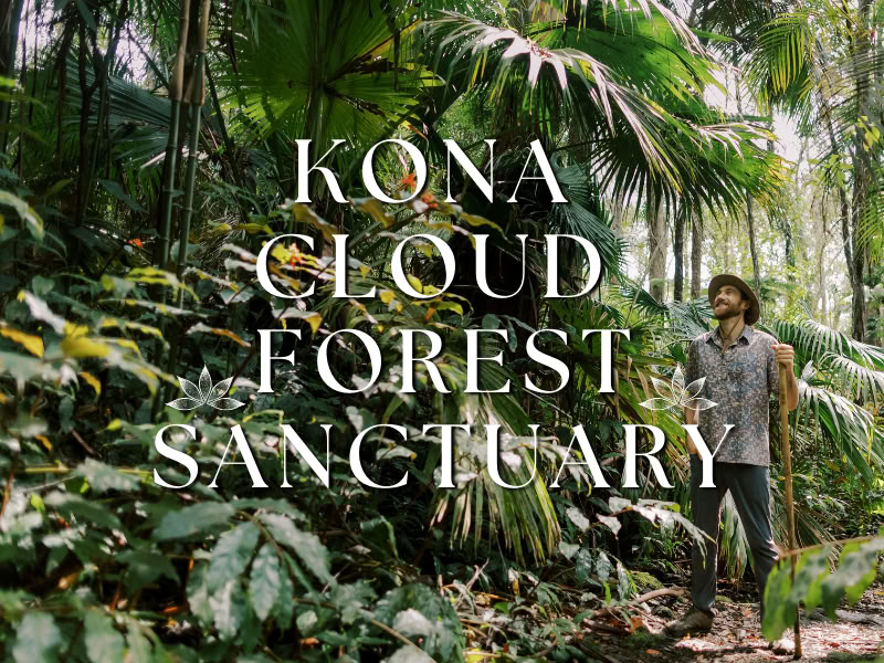 Kona Cloud Forest-helligdom