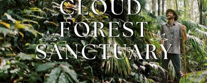 Kona Cloud Forest-helligdom