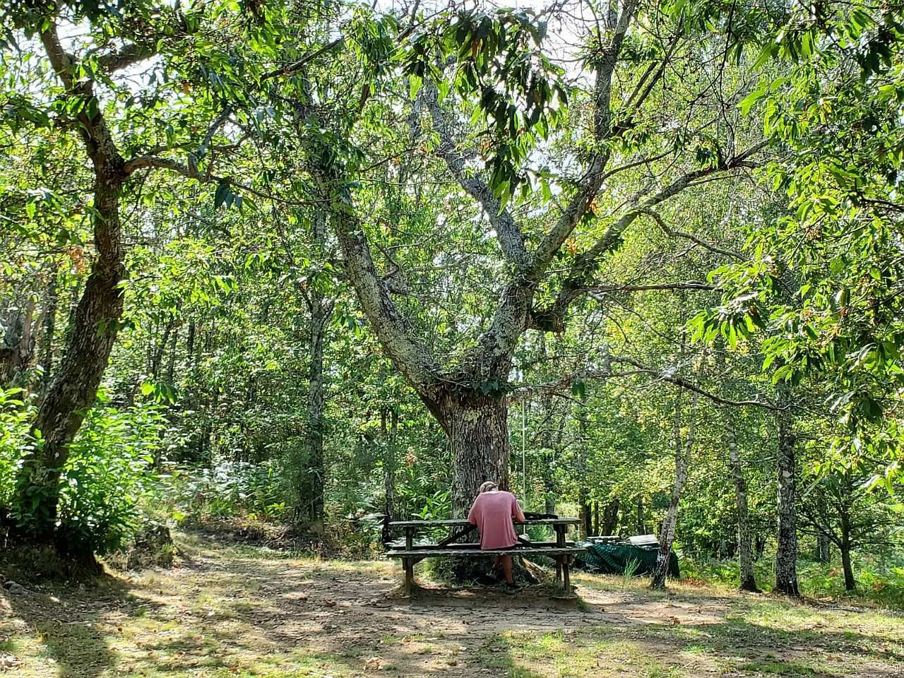 Kærlighed, udvikling og opvågning på Mahadevi Ashram