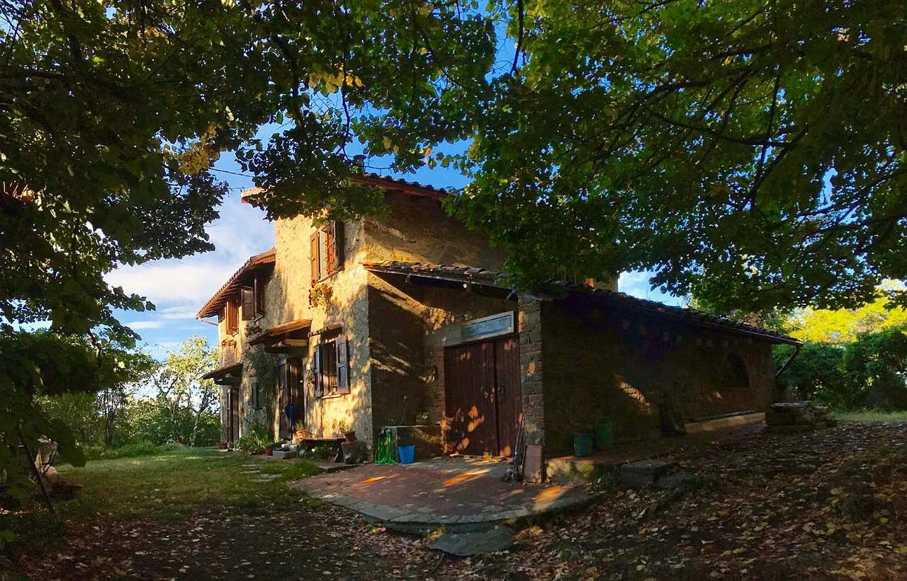 Kærlighed, udvikling og opvågning på Mahadevi Ashram