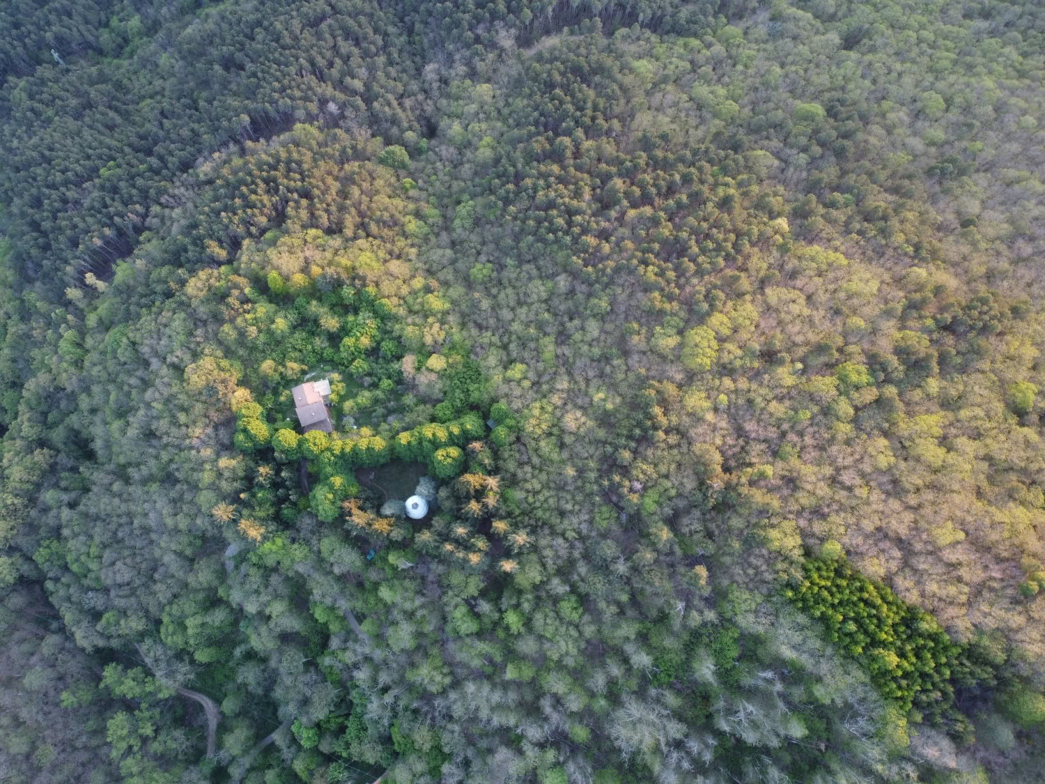 Kærlighed, udvikling og opvågning på Mahadevi Ashram