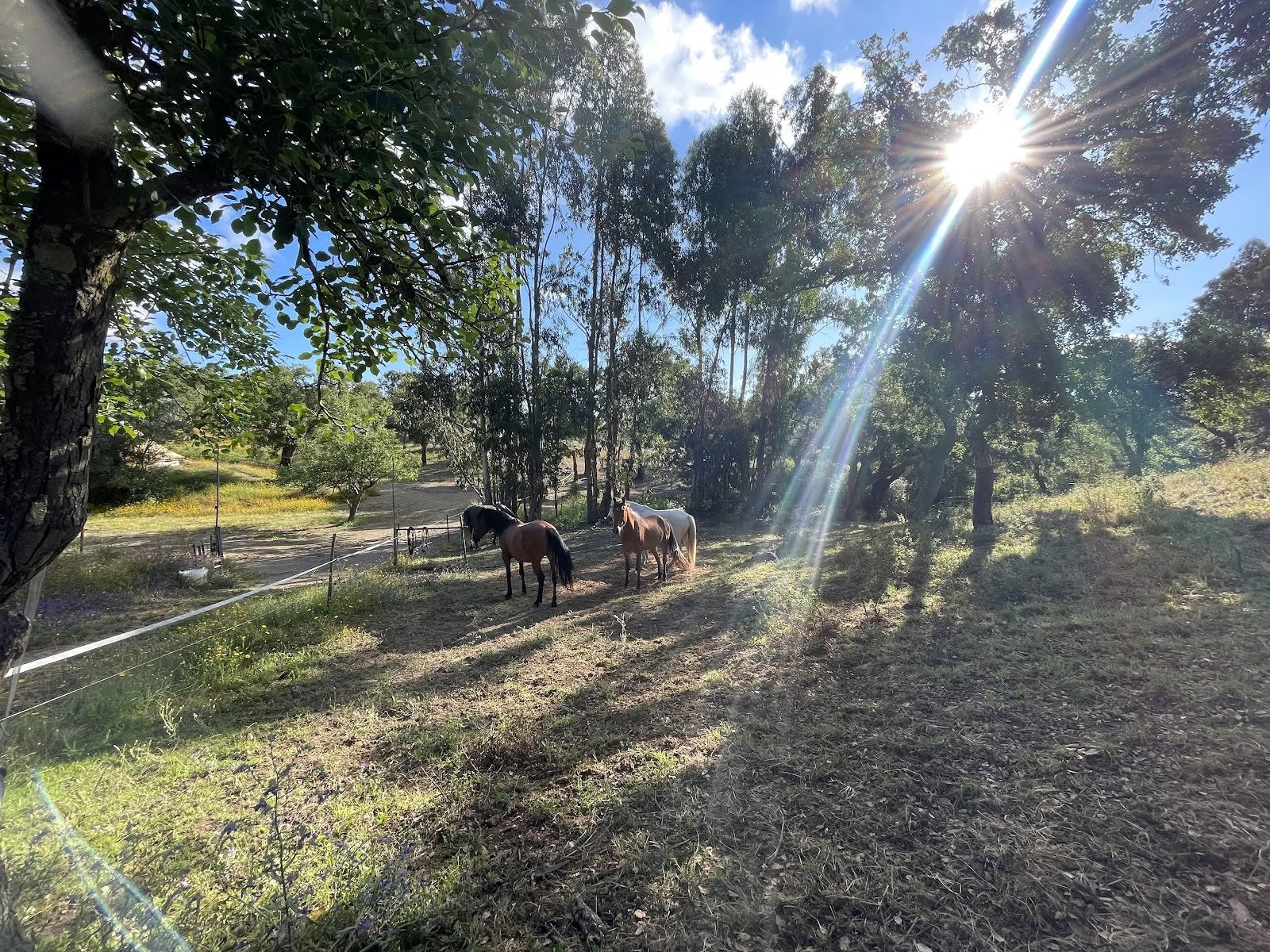 Malama.space I Yoga- og wellness-retreat