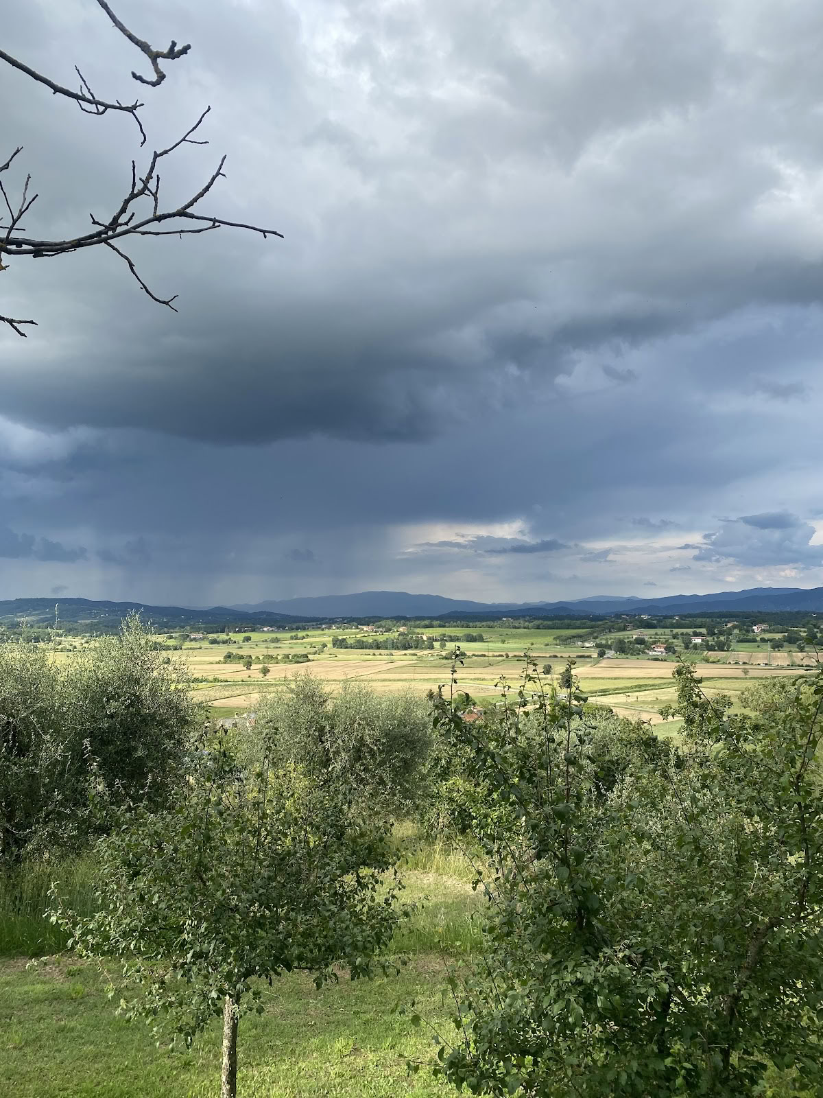 Maraviglia bevidst livsstil