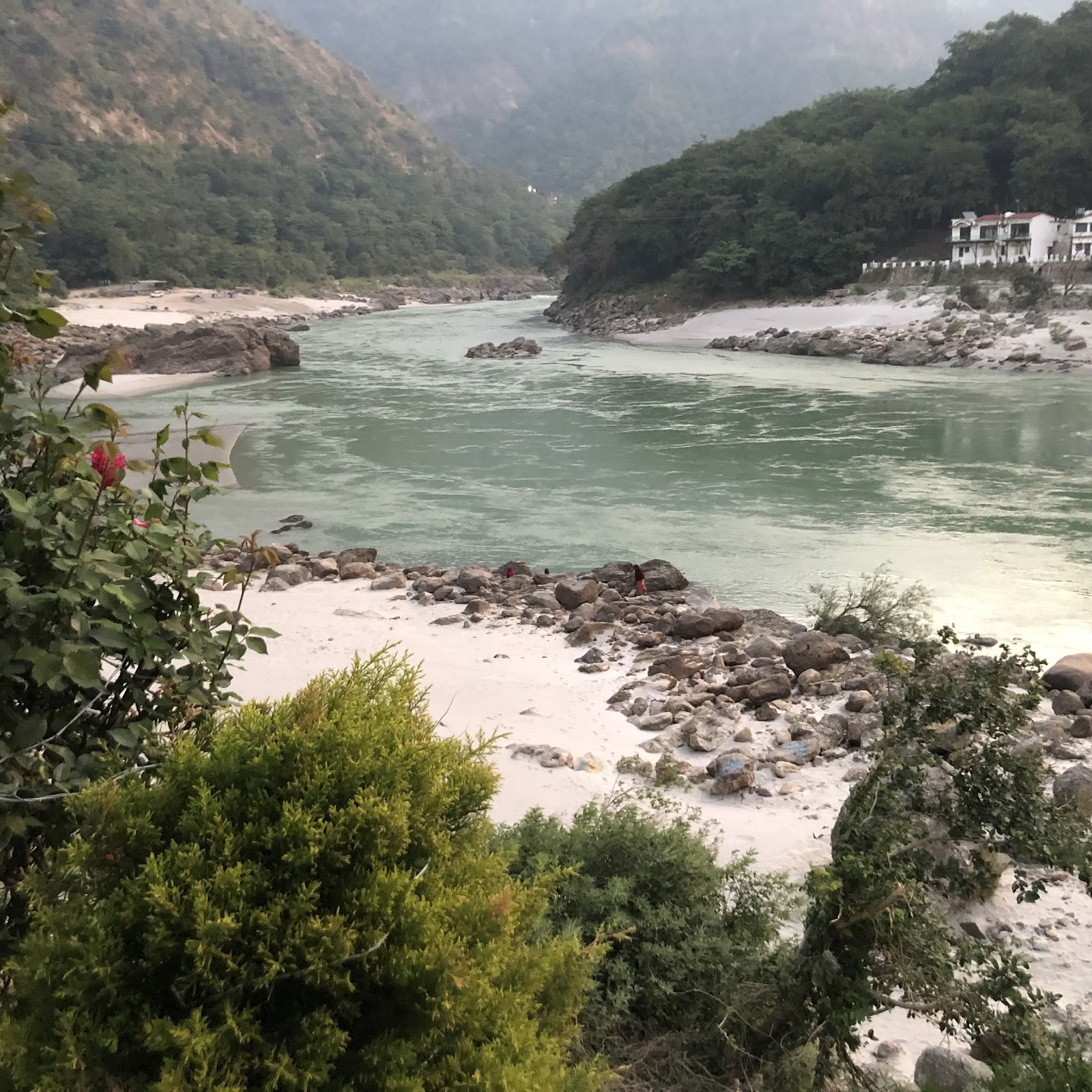 Et Himalaya-yogi-institut i Rishikesh