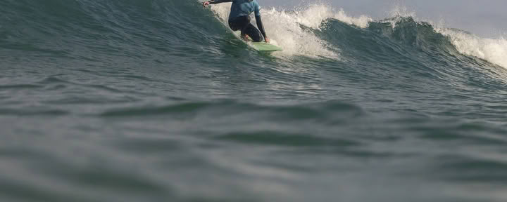Rewild Surfskole