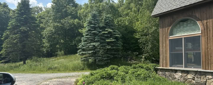 Gård Et Sted i Tiden