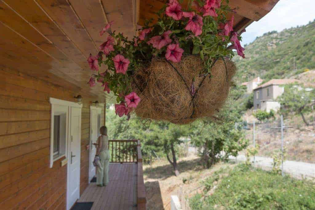 Ktima Noosfera Wellness- og Retreatcenter