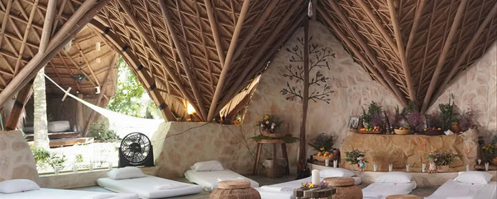 Satorii Yoga + Wellness
