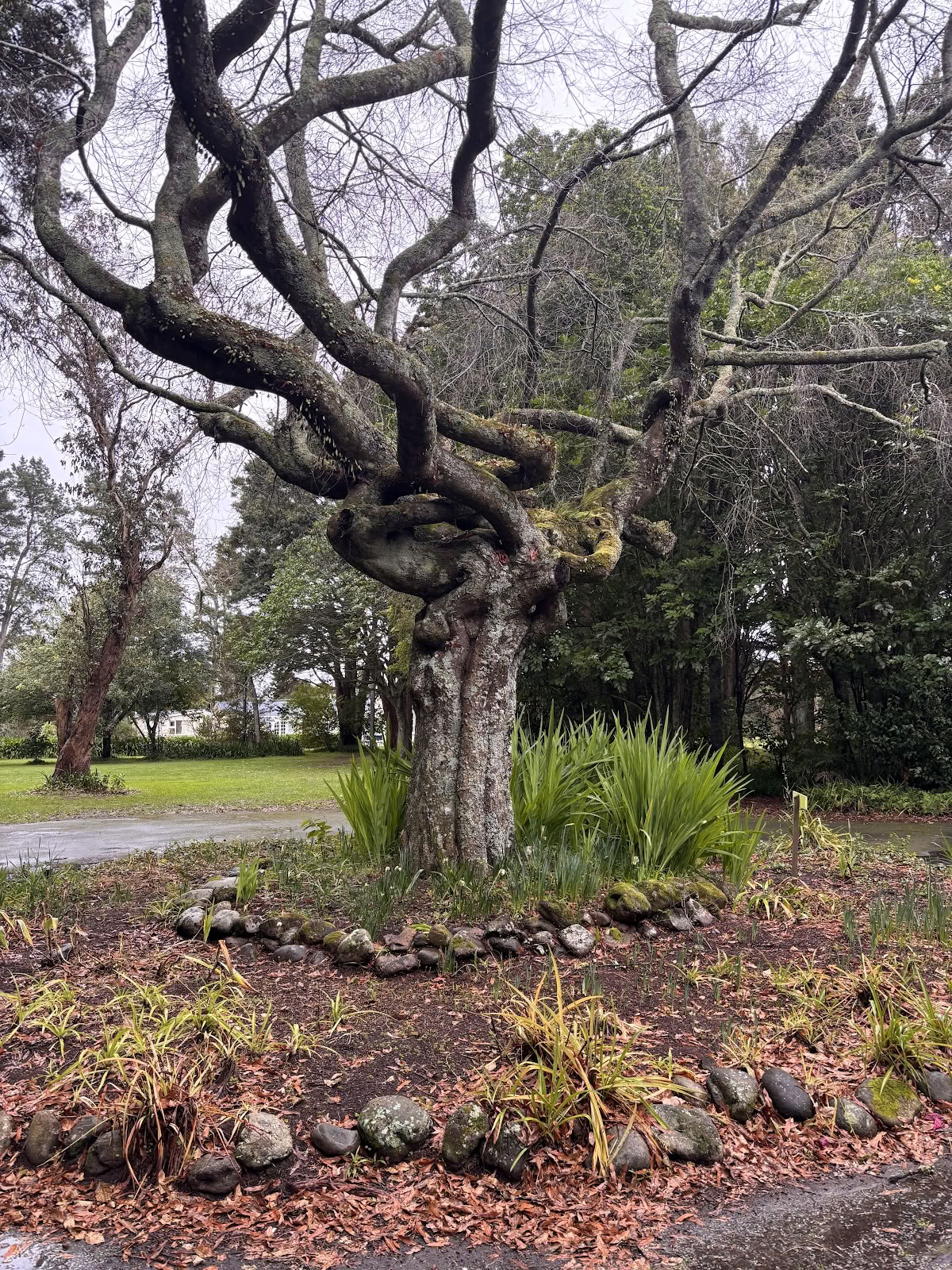 Strathean Retreat Center